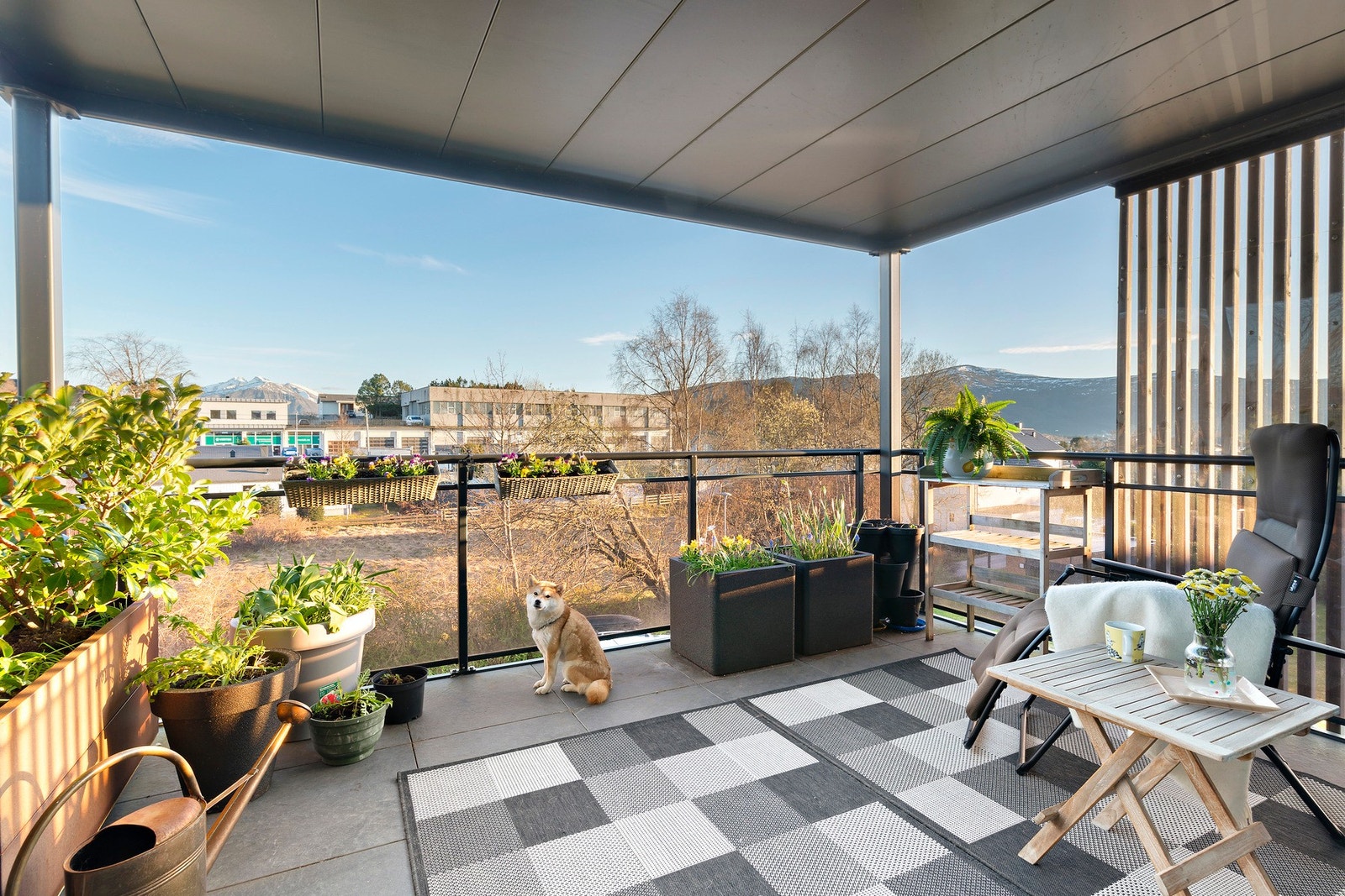 Verandaen på 12 kvm har gode solforhold, lite innsyn og høy trivselsfaktor for både to- og firbeinte. Galleribilde