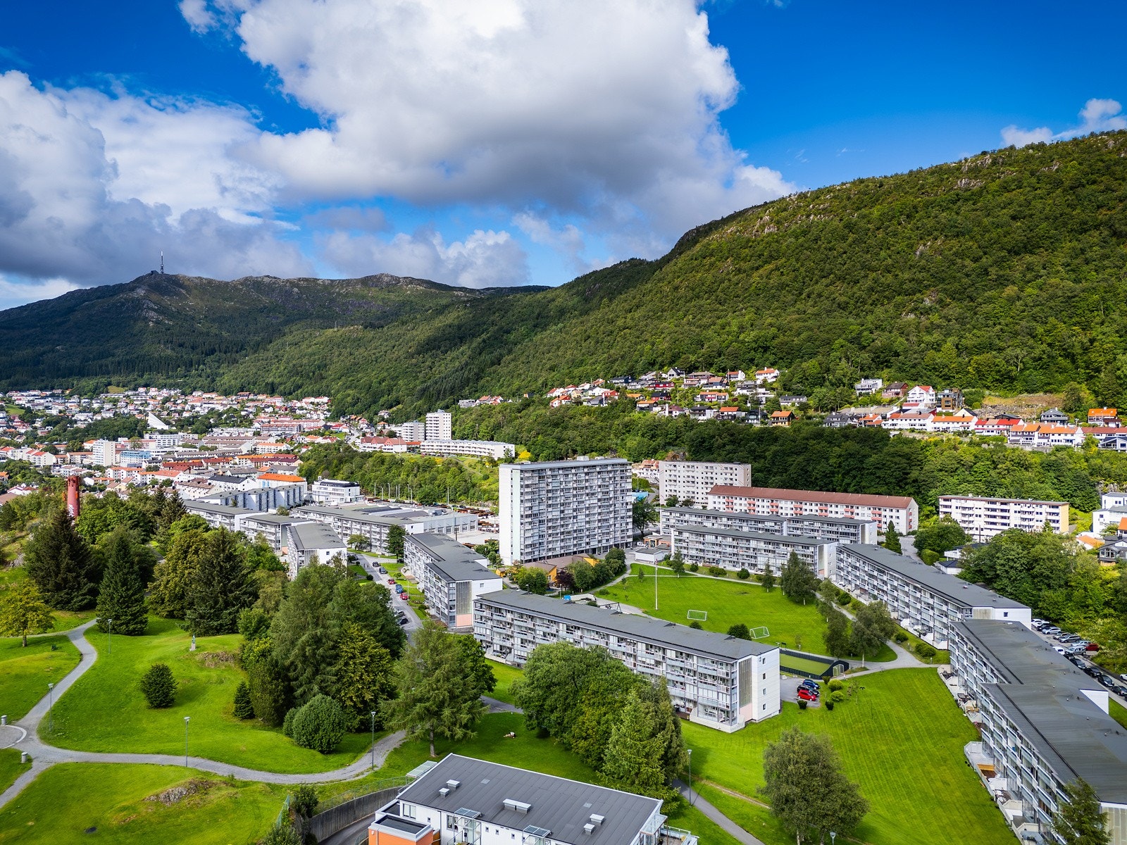 Det er kort vei til Nattlandsfjellet og andre turområder. Galleribilde