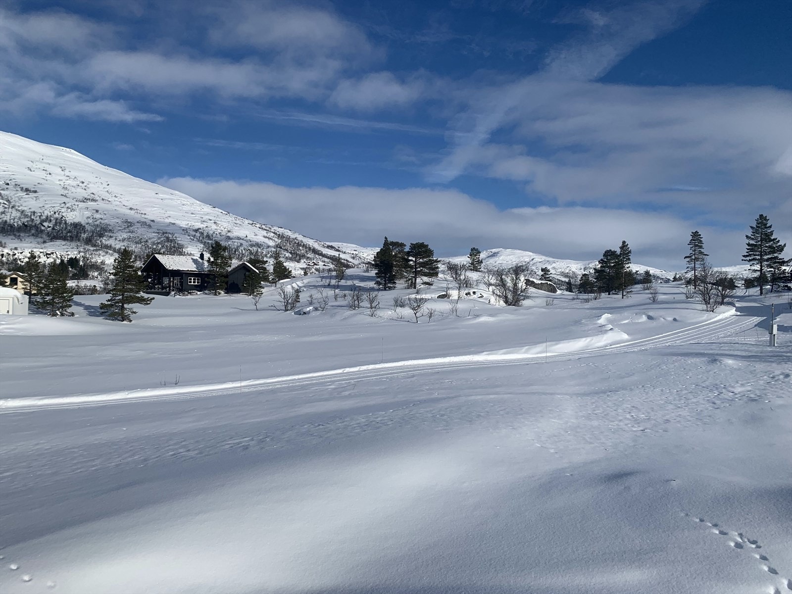 Nydelig vinterlandskap! Galleribilde