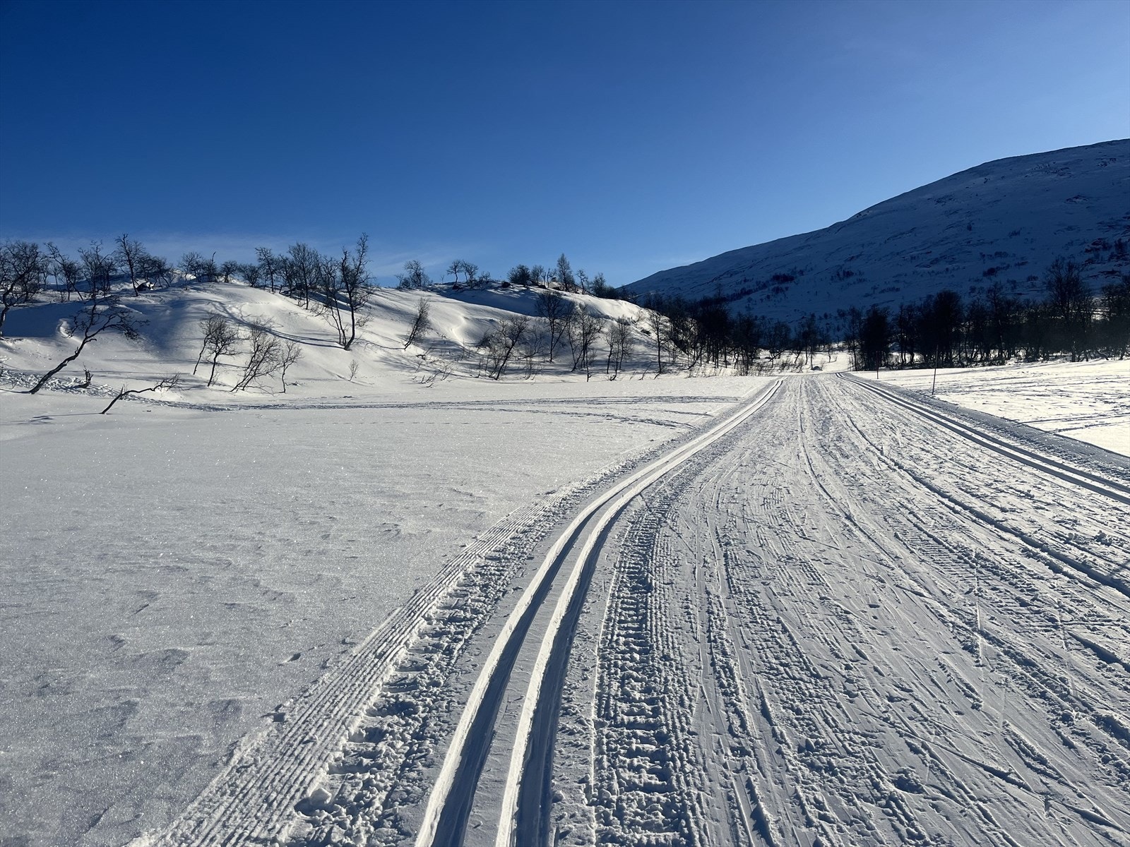 Godt etablert løypenett i området med lysløype Galleribilde