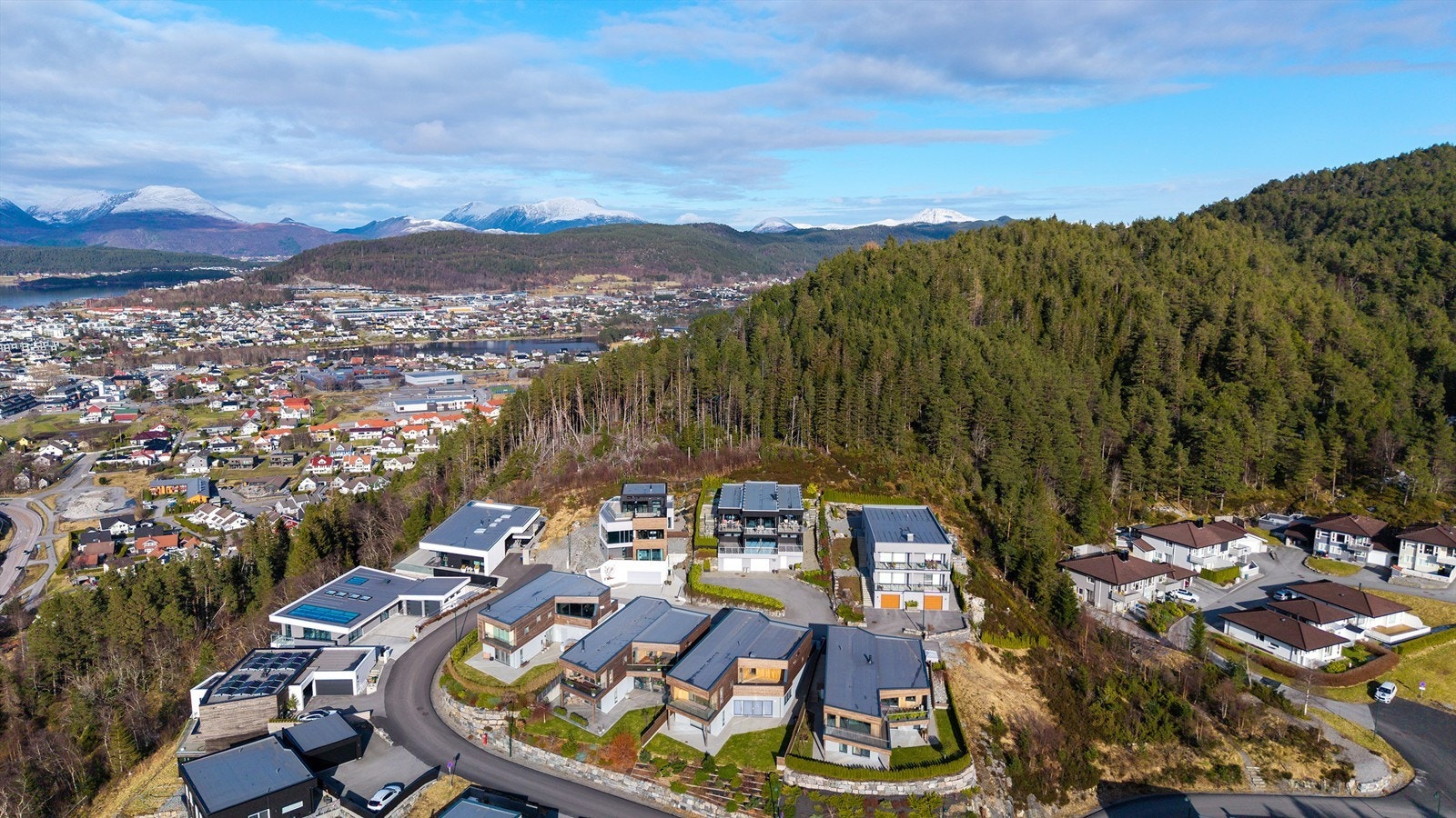 Dronebilde av nærområdet Galleribilde