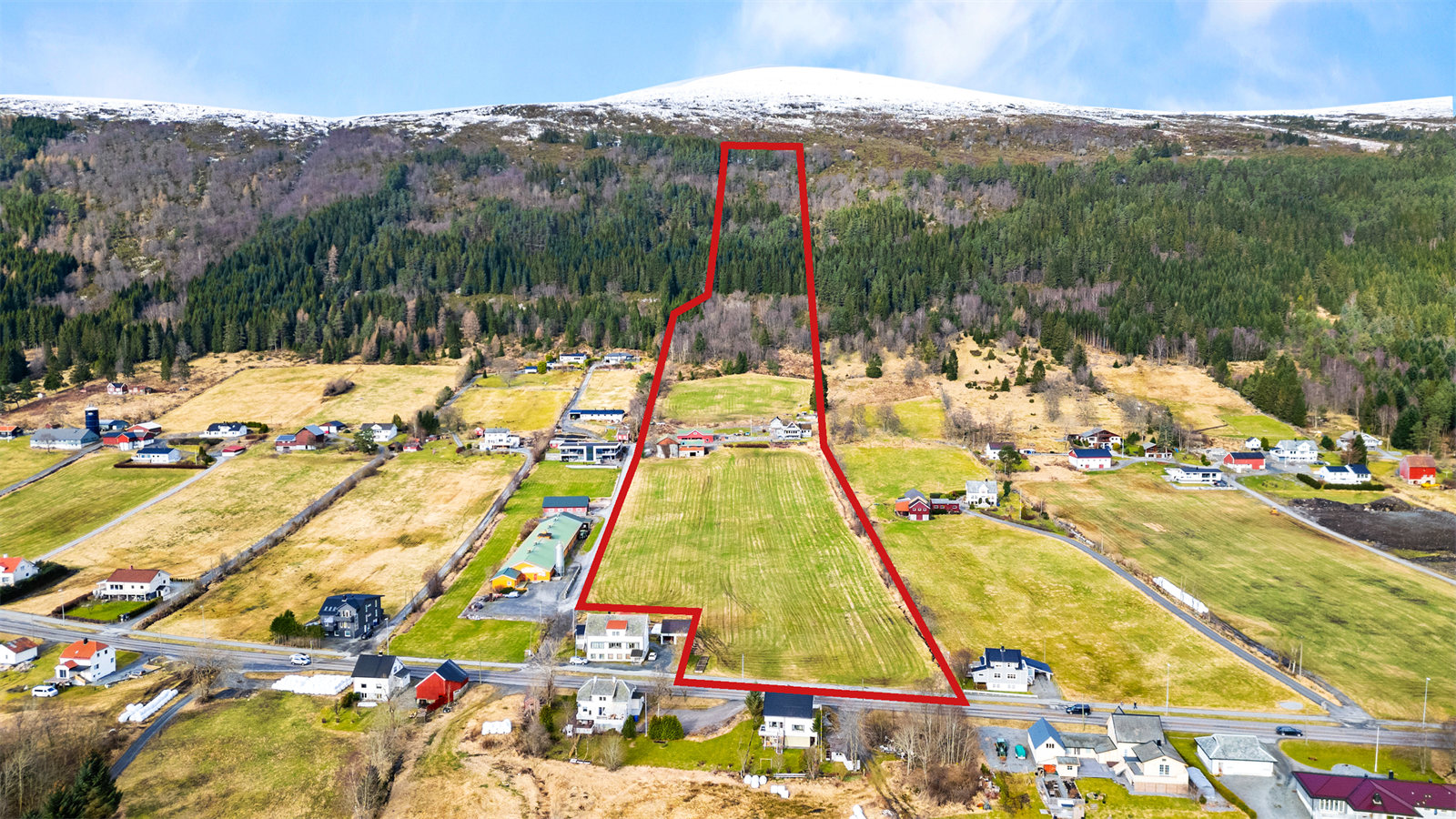 Deler av tomta som er ramma inn i raudt Galleribilde