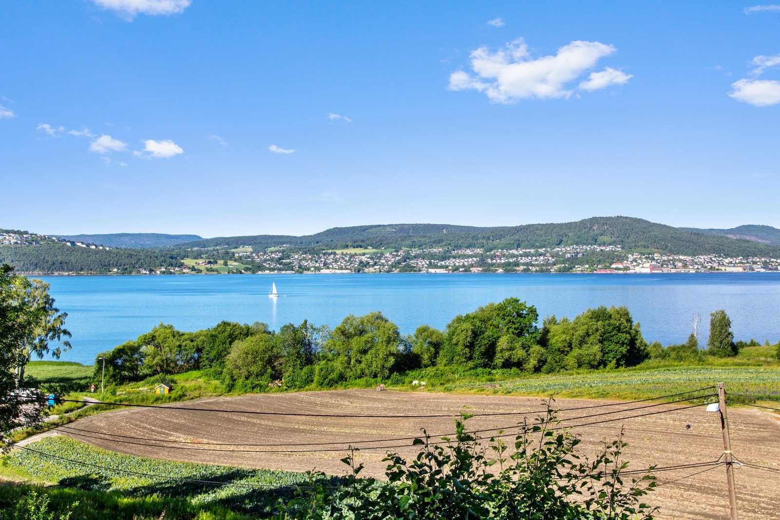 Utsikt. Galleribilde