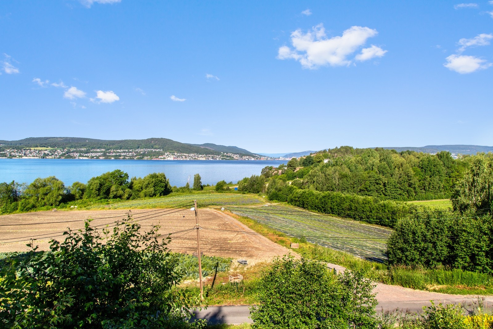 Utsikt. Galleribilde