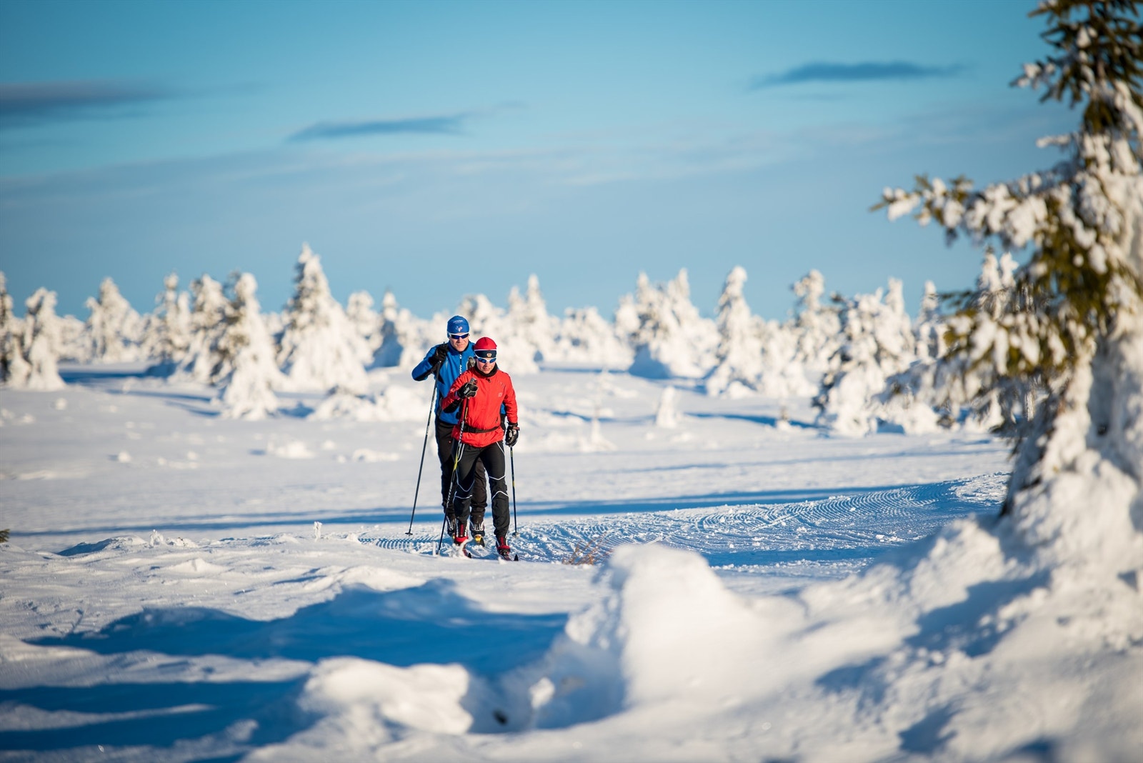 Området har et stort nett av langrennsløyper tilknyttet Engerdal og Flendalen. Foto Destinasjon Trysil Galleribilde