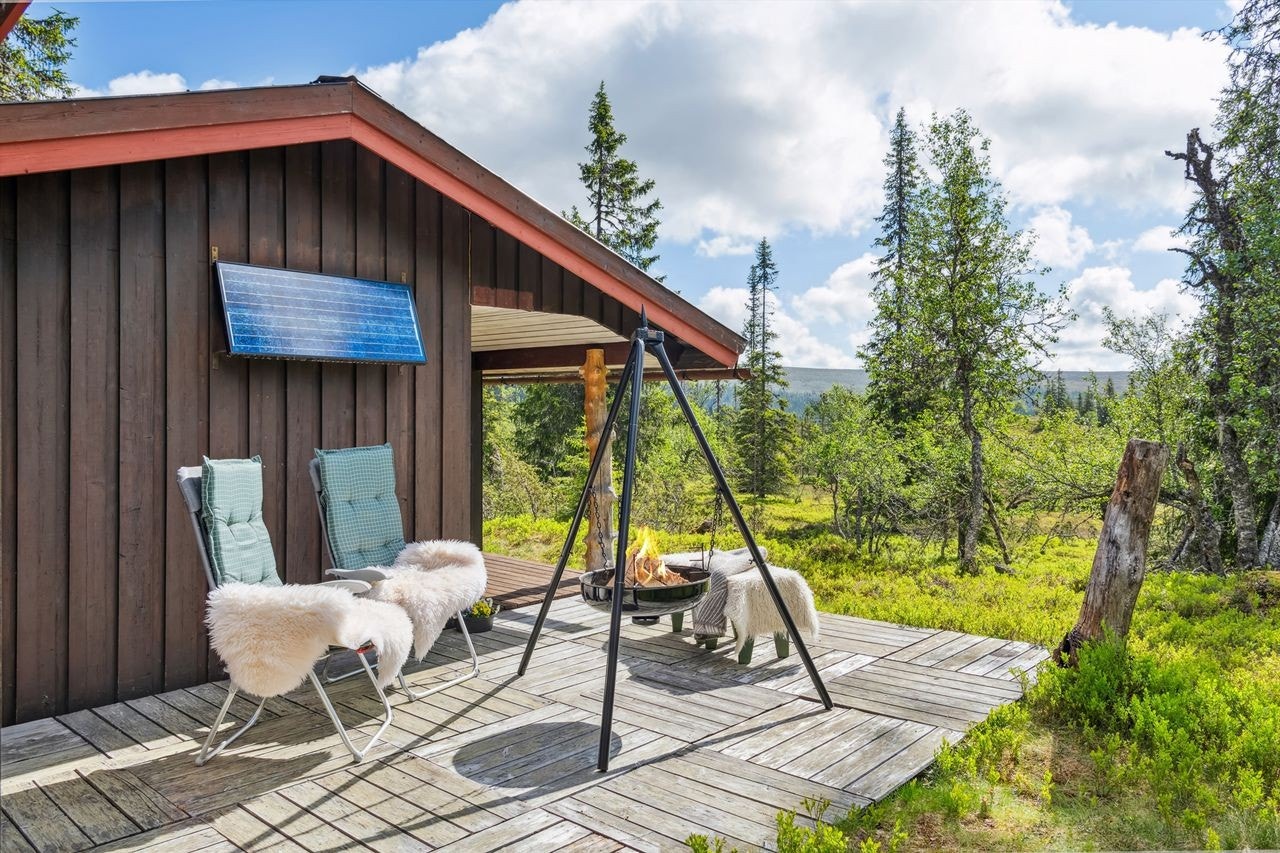 Stille, fredelig og solrikt - et godt sted å senke skuldrene og nyte friluftsliv i skog og mark Galleribilde