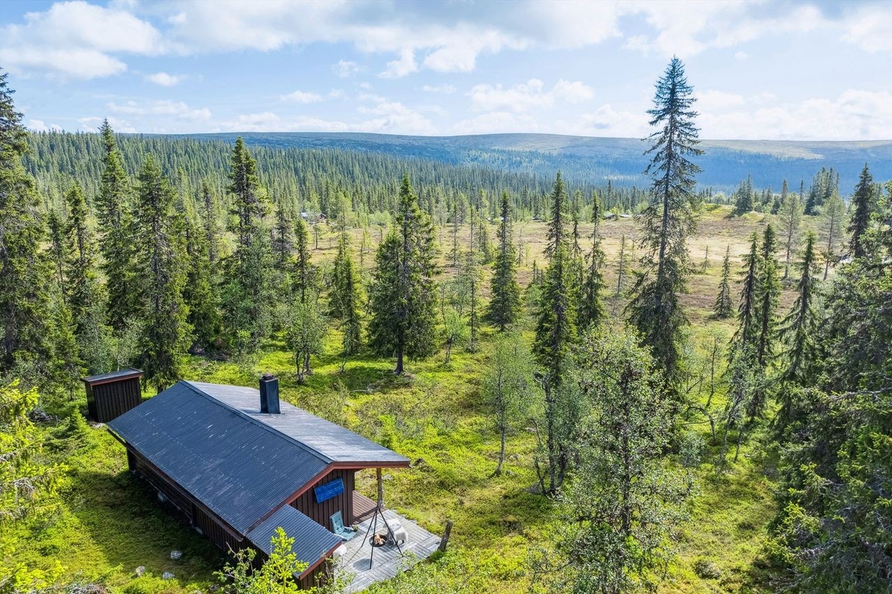 Hytta ligger åpent og fint til med skog og fjell omkring. Tursti og langrennsspor rett ved. I Bittermarka er det også tilrettelagt for stisykling. Galleribilde