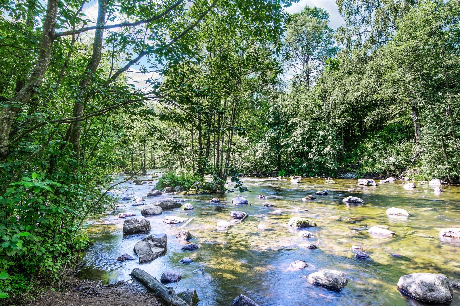 Leiligheten ligger i et fredelig, trygt og godt boligområde. En turvei langs Akerselva, tar deg enten til Maridalsvannet og Nordmarka, eller ned til sentrum gjennom Nydalen med sine butikker, kafeer og restauranter. Galleribilde