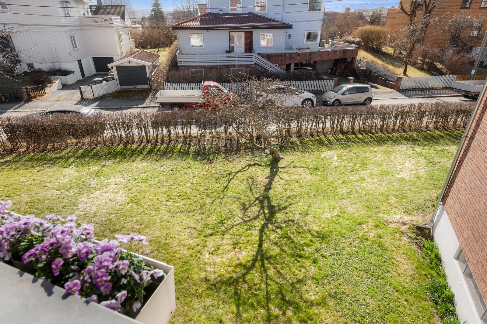 Utsyn til felles hage. Galleribilde