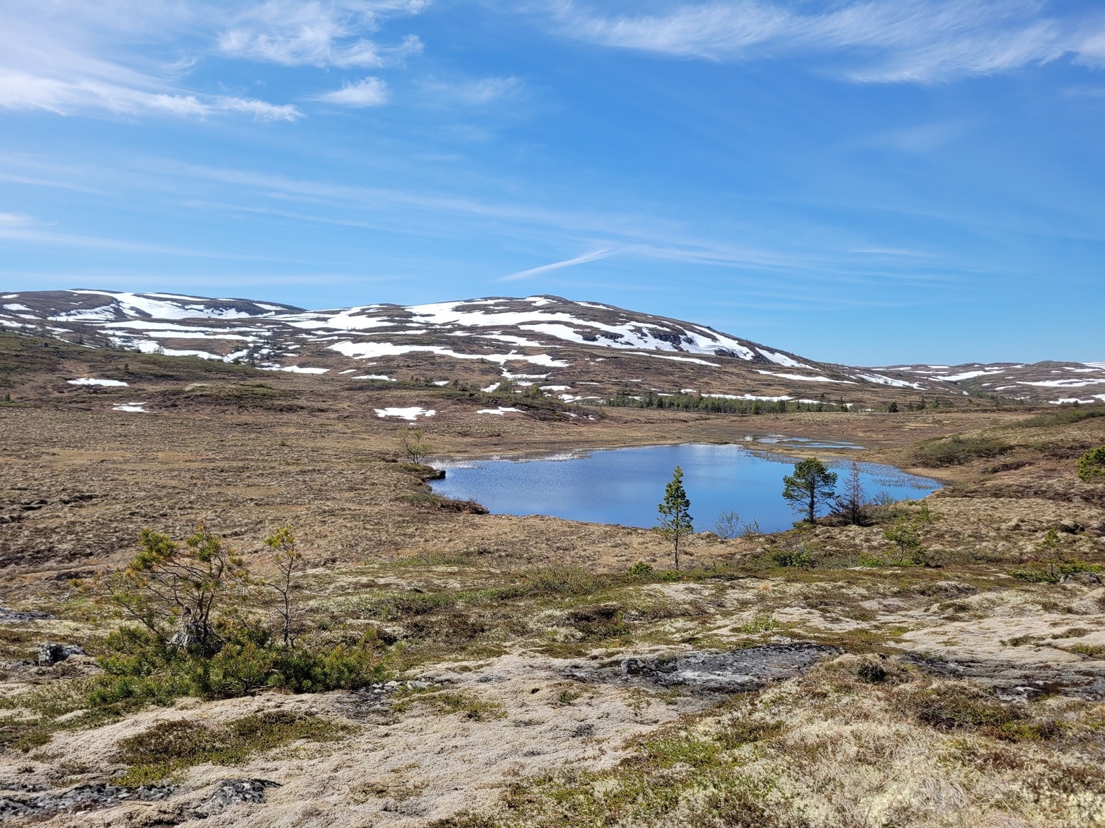 Eiendommen er beliggende i et fantastisk turterreng. Galleribilde