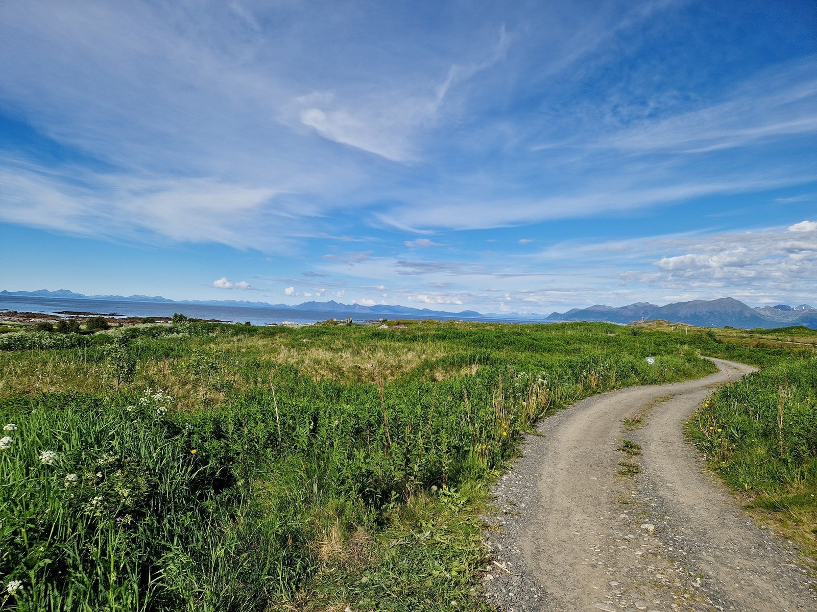 Selgers private bilde. Galleribilde