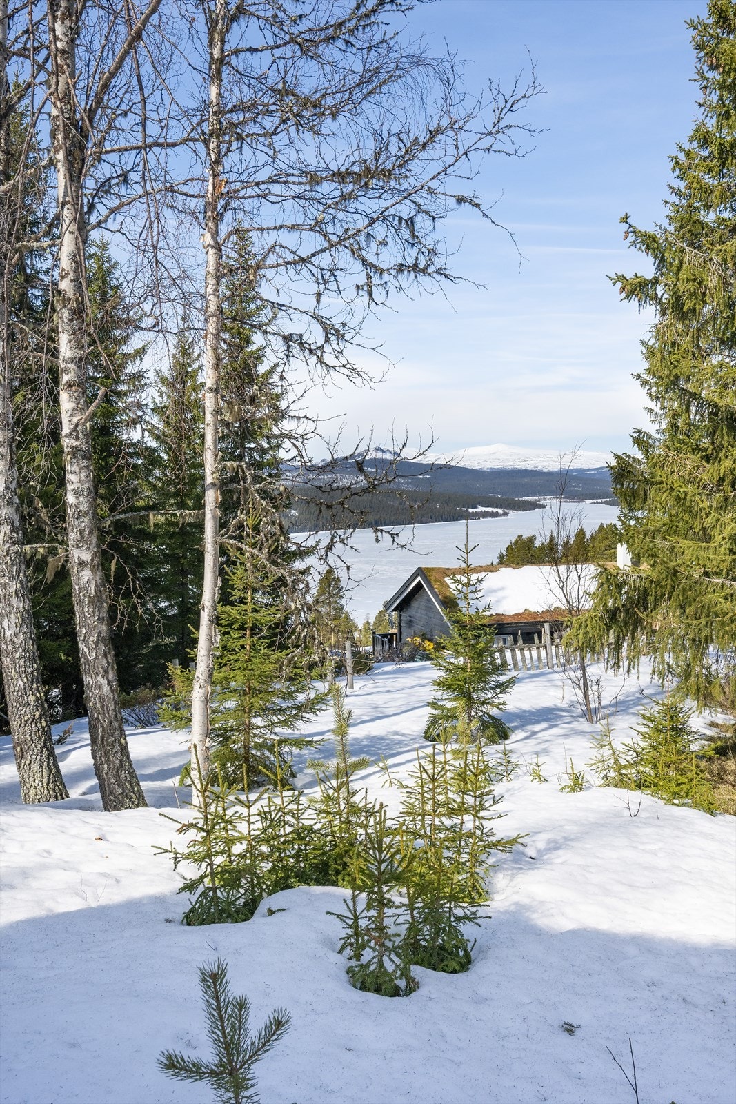 Utsiktsbilde mot Gålåvatnet og Rondane. Galleribilde