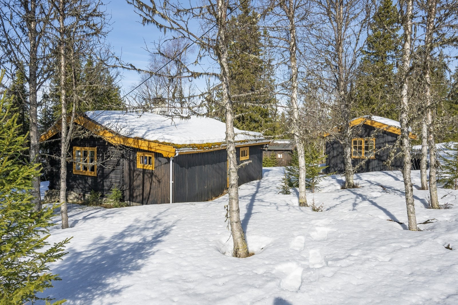 Det er mye boltreplass for både to- og firbeinte. Galleribilde