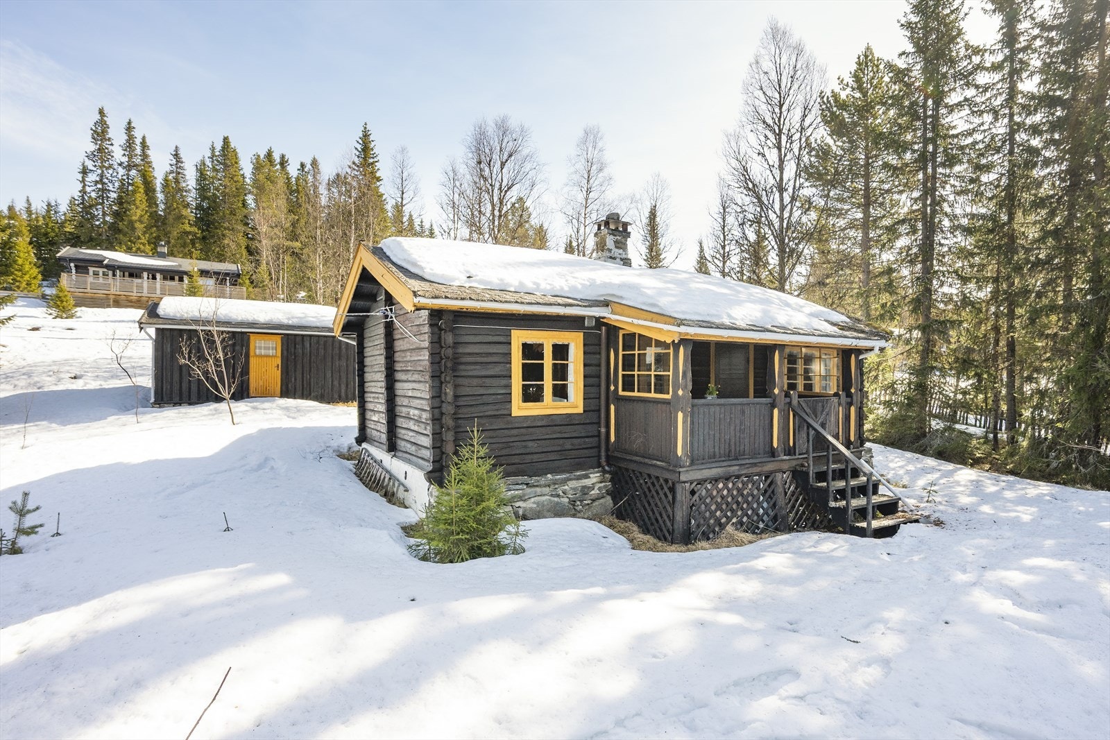 Velkommen til visning! Galleribilde