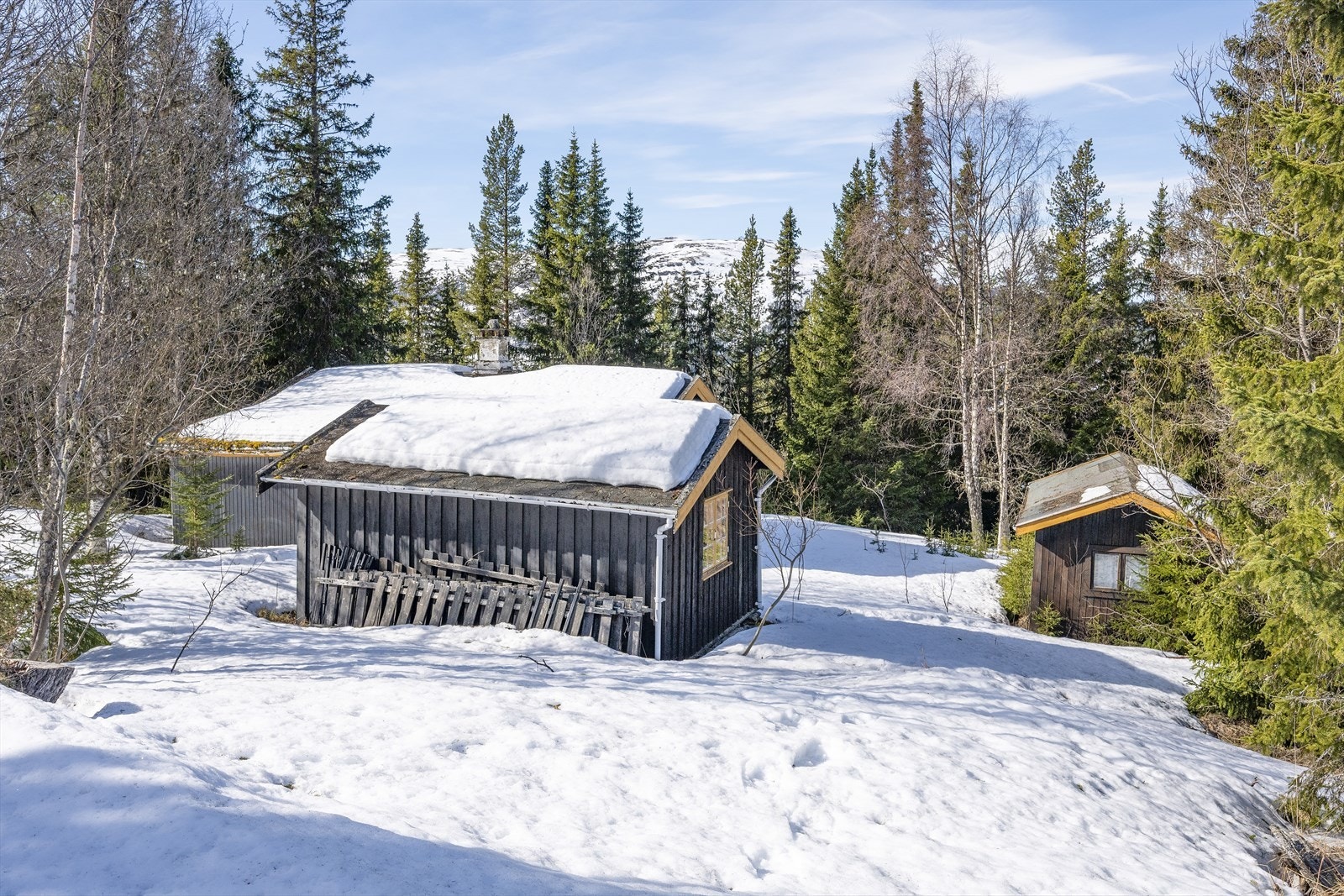 Naturtomt som er noe gjengrodd. Galleribilde