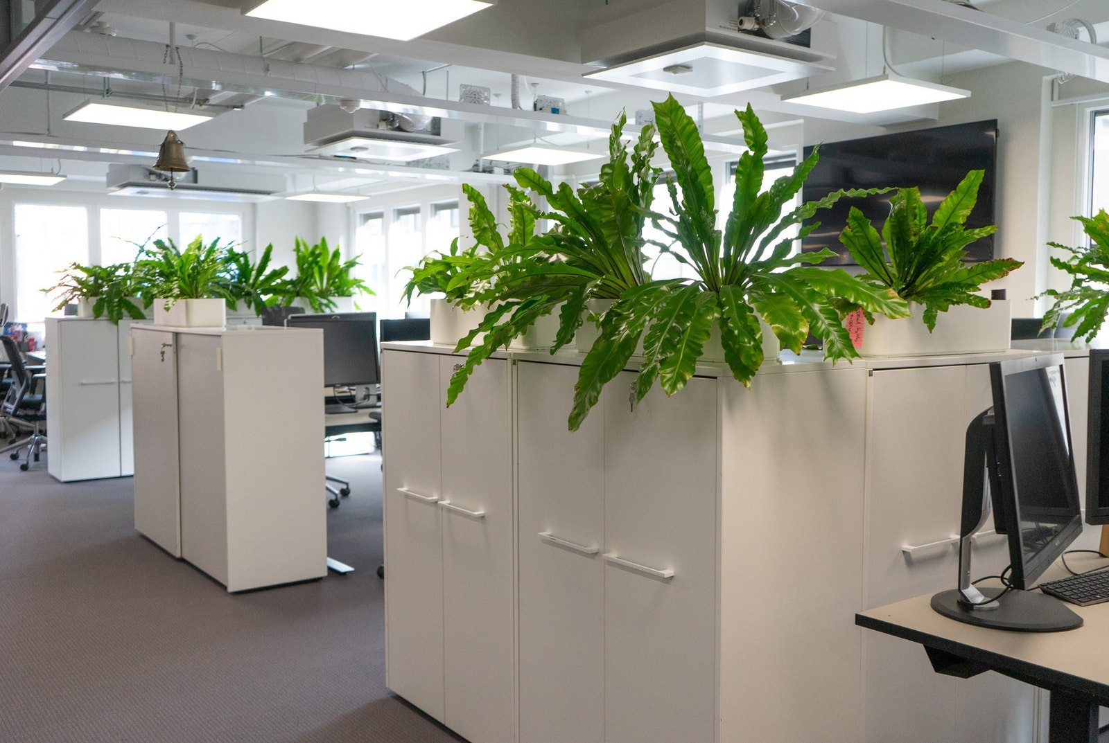 Arbeidssone i landskap Galleribilde