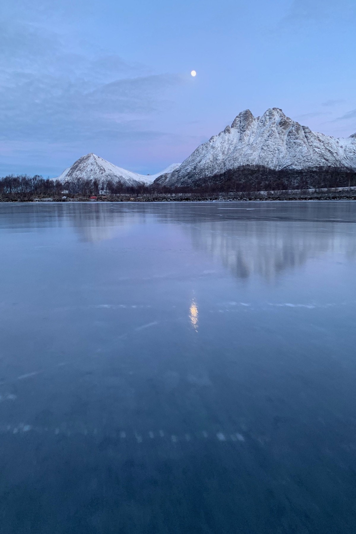 Selgers bilder Galleribilde