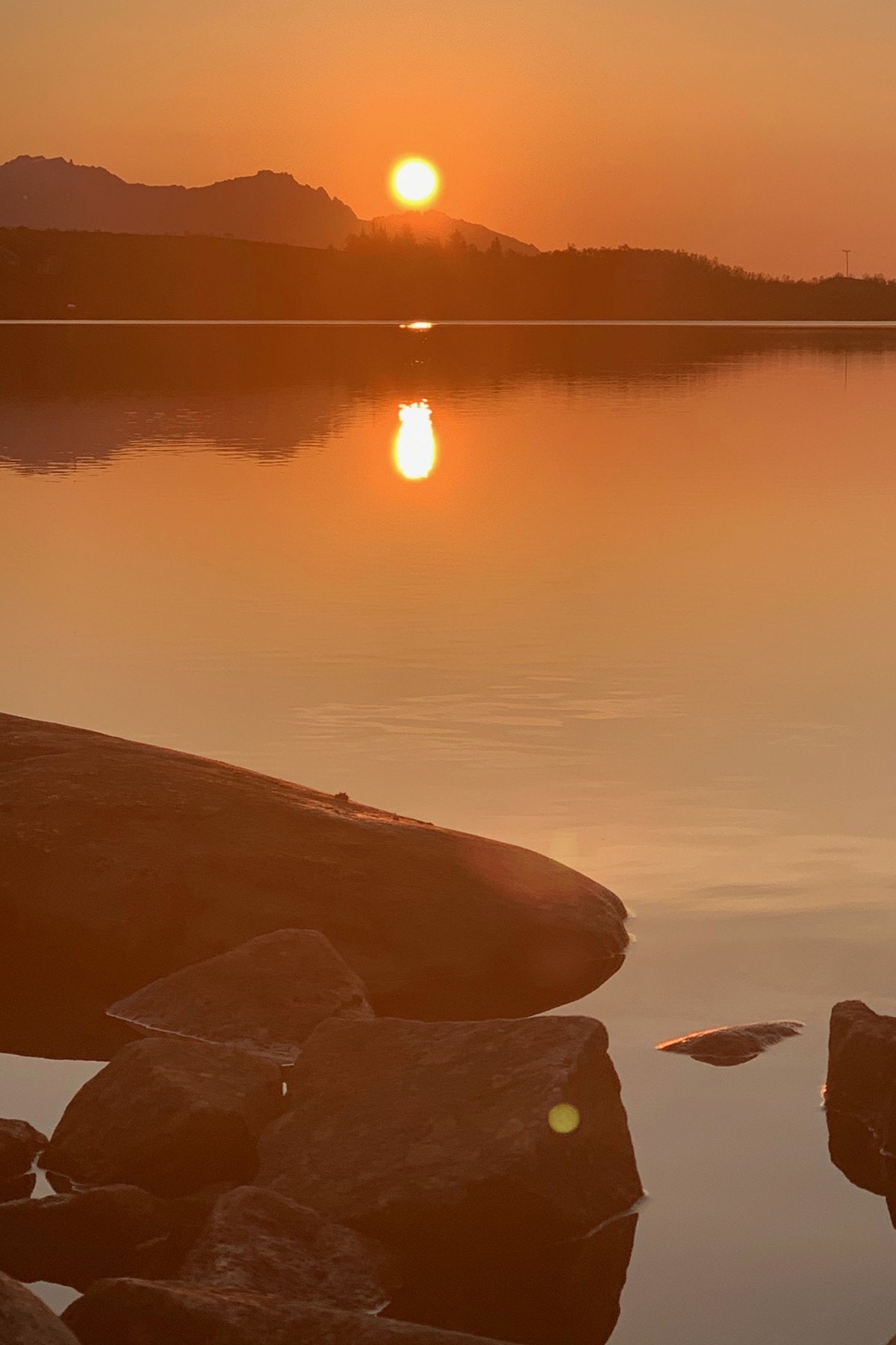 Selgers bilder Galleribilde