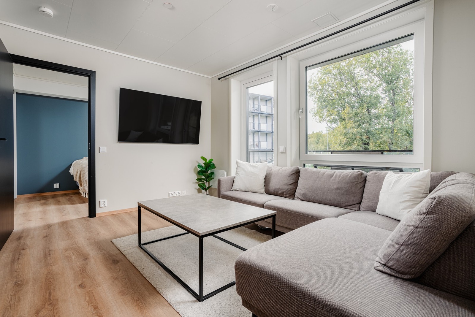 Elegant stue med eksklusivt og oppgradert fargekonsept av høy kvalitet Galleribilde