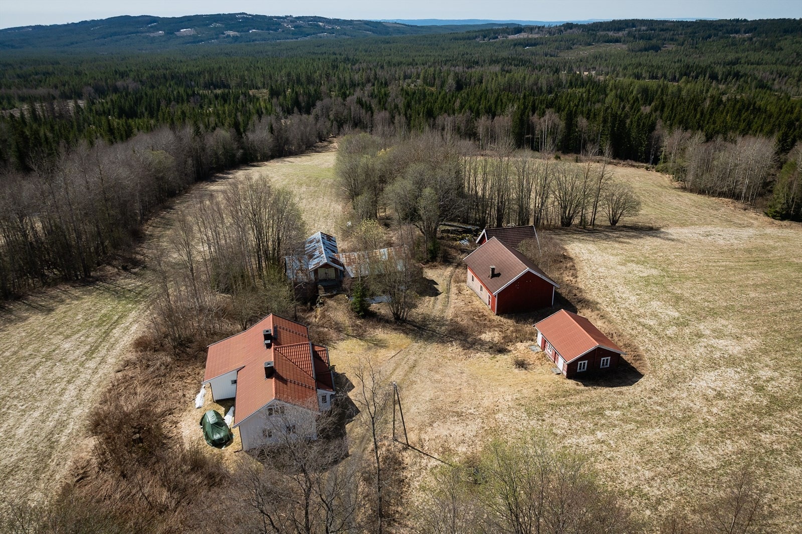 Dyrket mark ligger nær inntil gårdstunet og er forpaktet bort vederlagsfritt frem til og med 31.12.25. Galleribilde