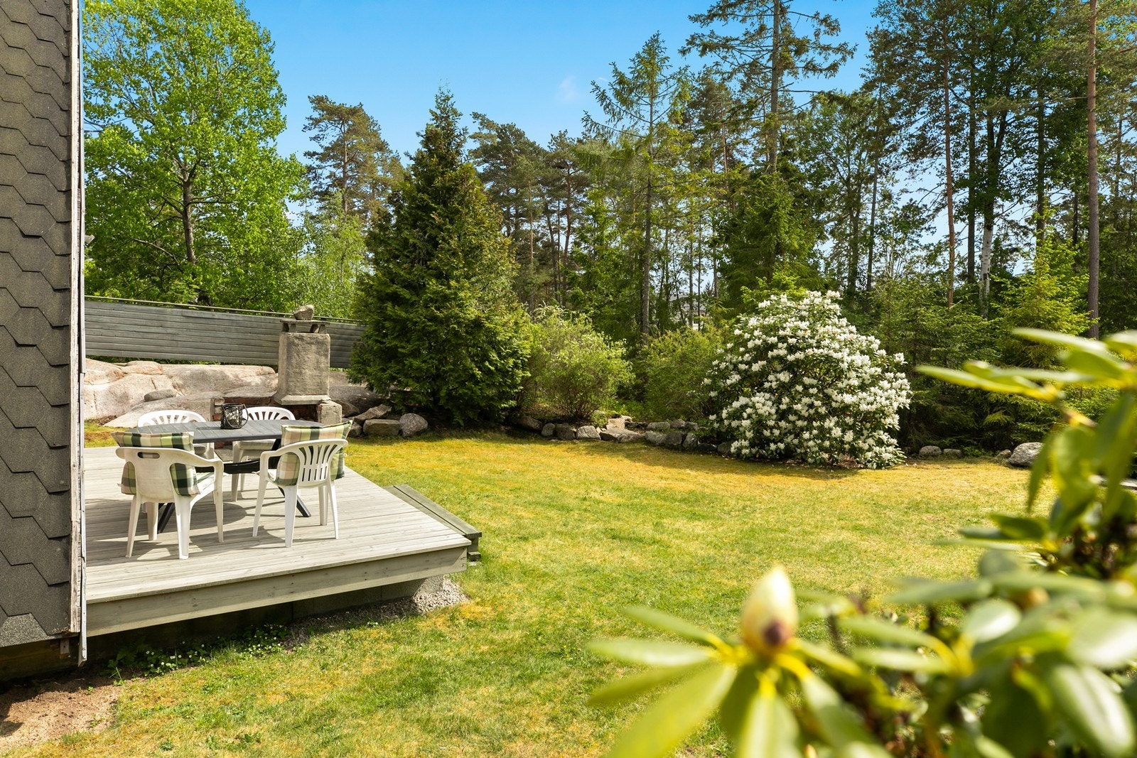 Pent opparbeidet hage med bla Rhododendron, bartrær og andre busker. Galleribilde