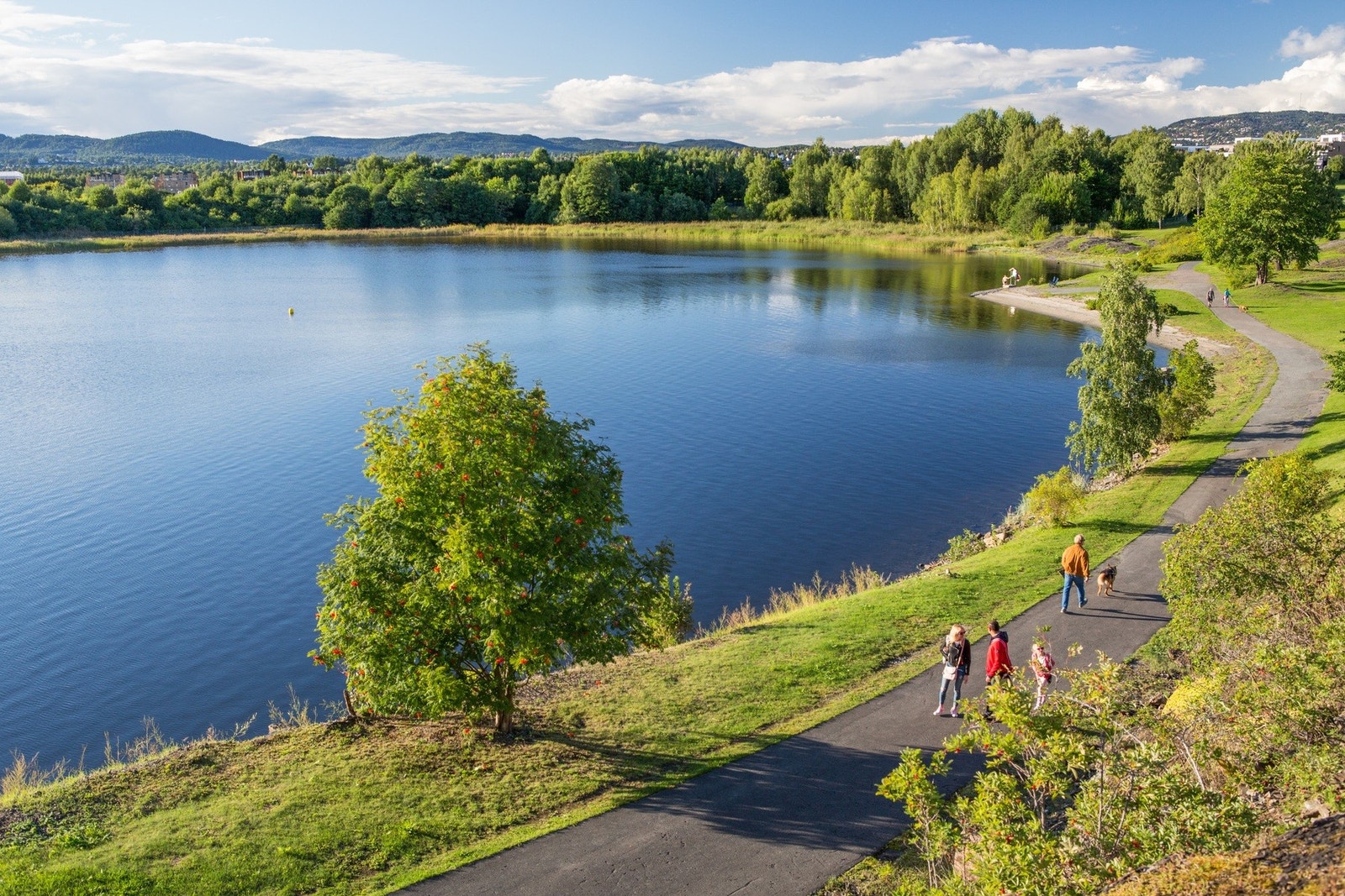 Flotte turstien langs sjøen. Galleribilde
