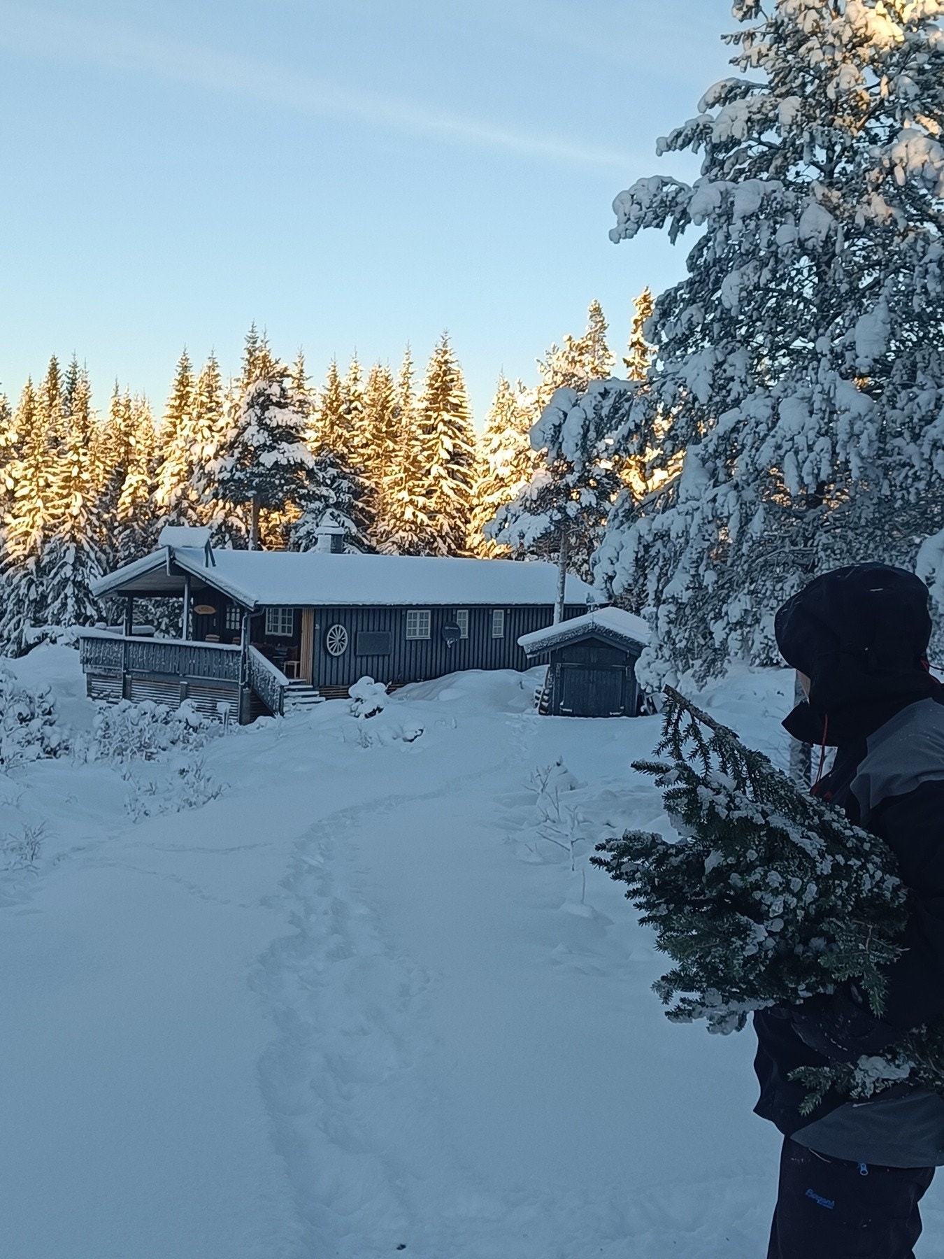 Idyllisk både på sommer og vinteren. Galleribilde