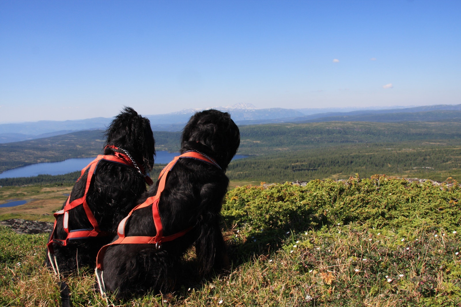 På tur Galleribilde