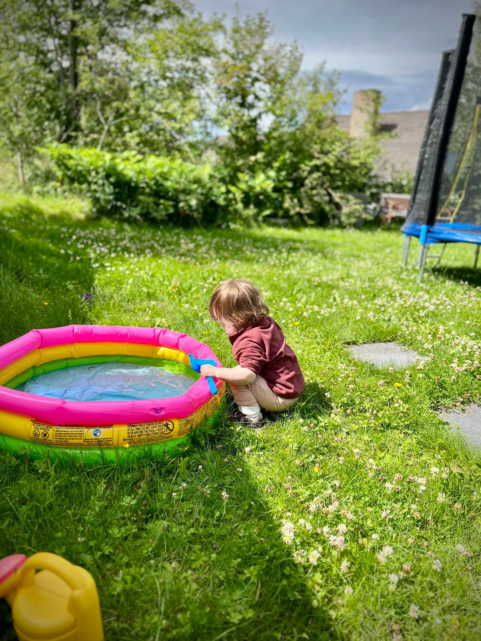 Herlige sommerbilder fra hagen! Galleribilde