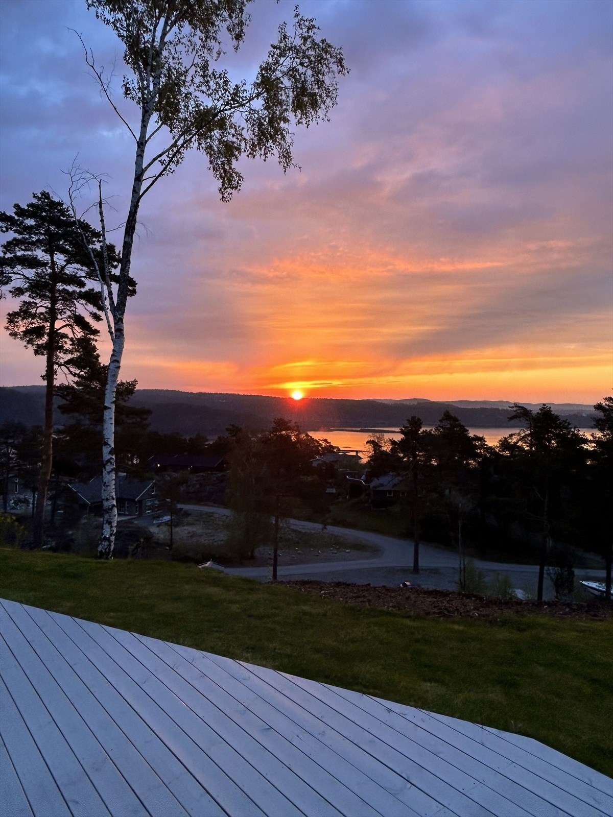 Soloppgang. Selgers sommerbilde. Galleribilde