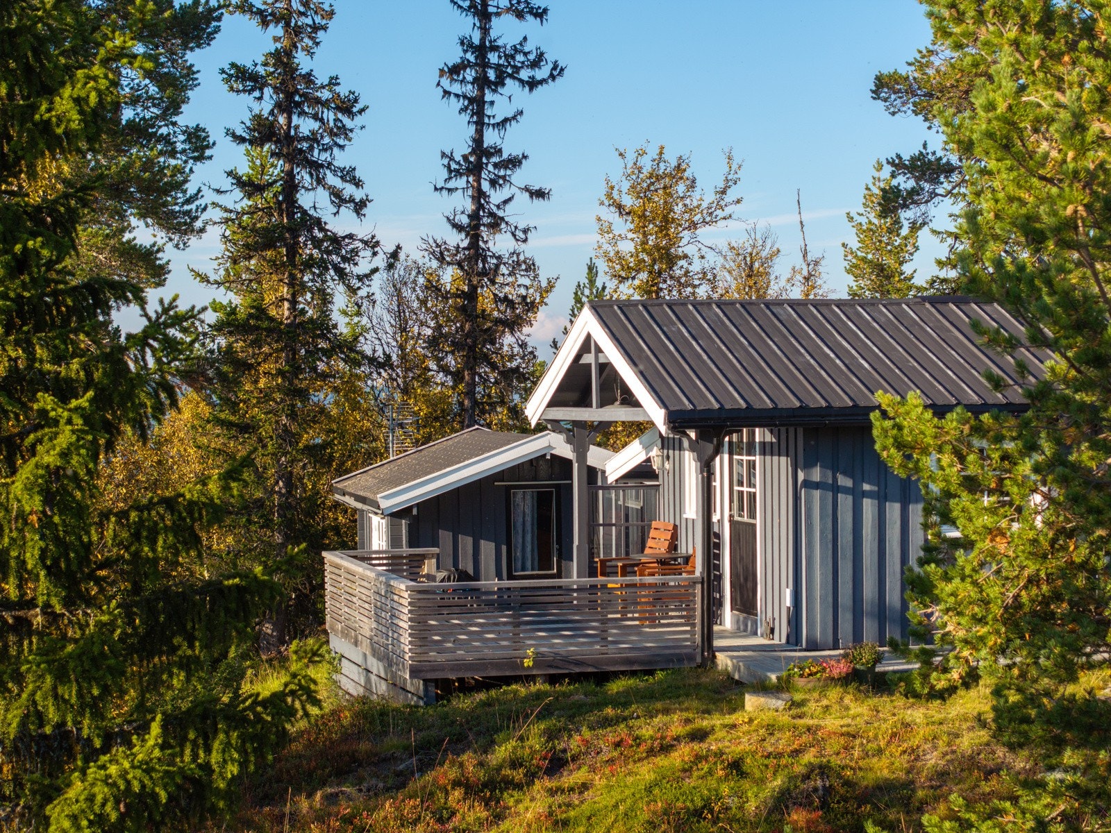Selve hytta ligger høyt og fritt på en solrik kolle, med nydelig utsikt over skogkledde åser. Galleribilde