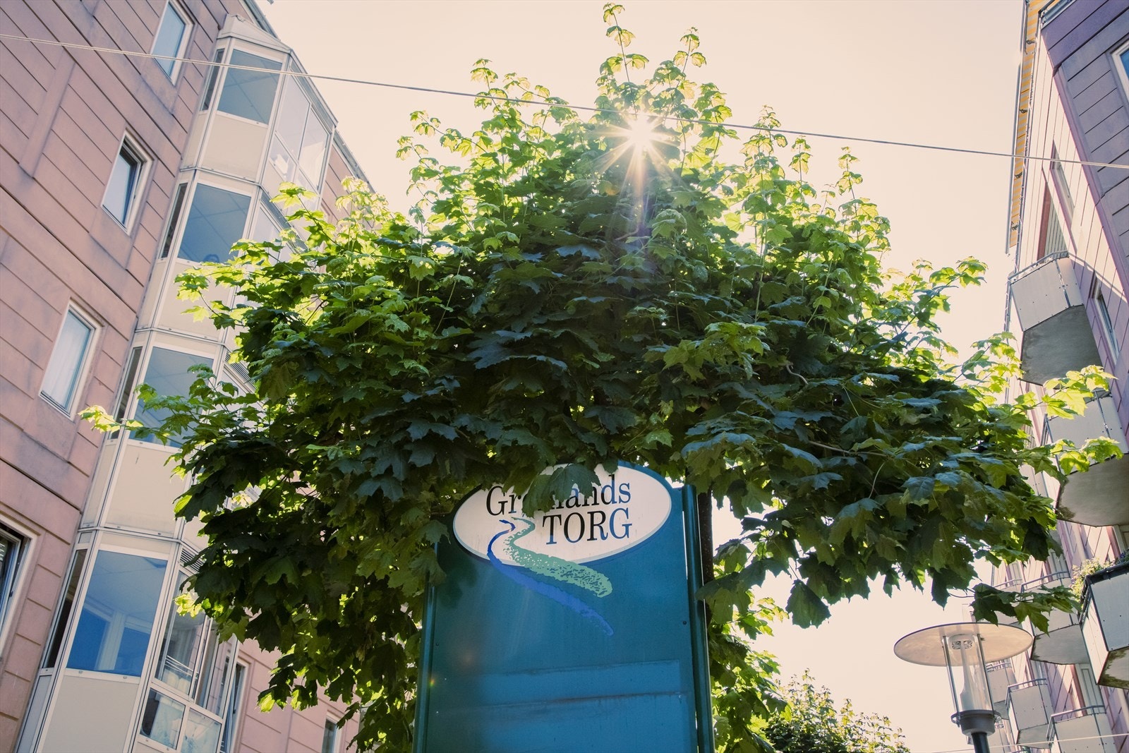 - Nærområdet - Galleribilde