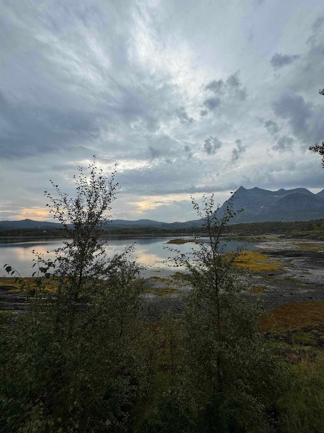 Velkommen på visning! Galleribilde