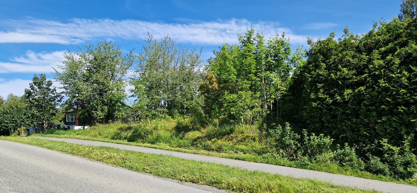 Tomtegrense fra hekken til søppelstativ. Galleribilde