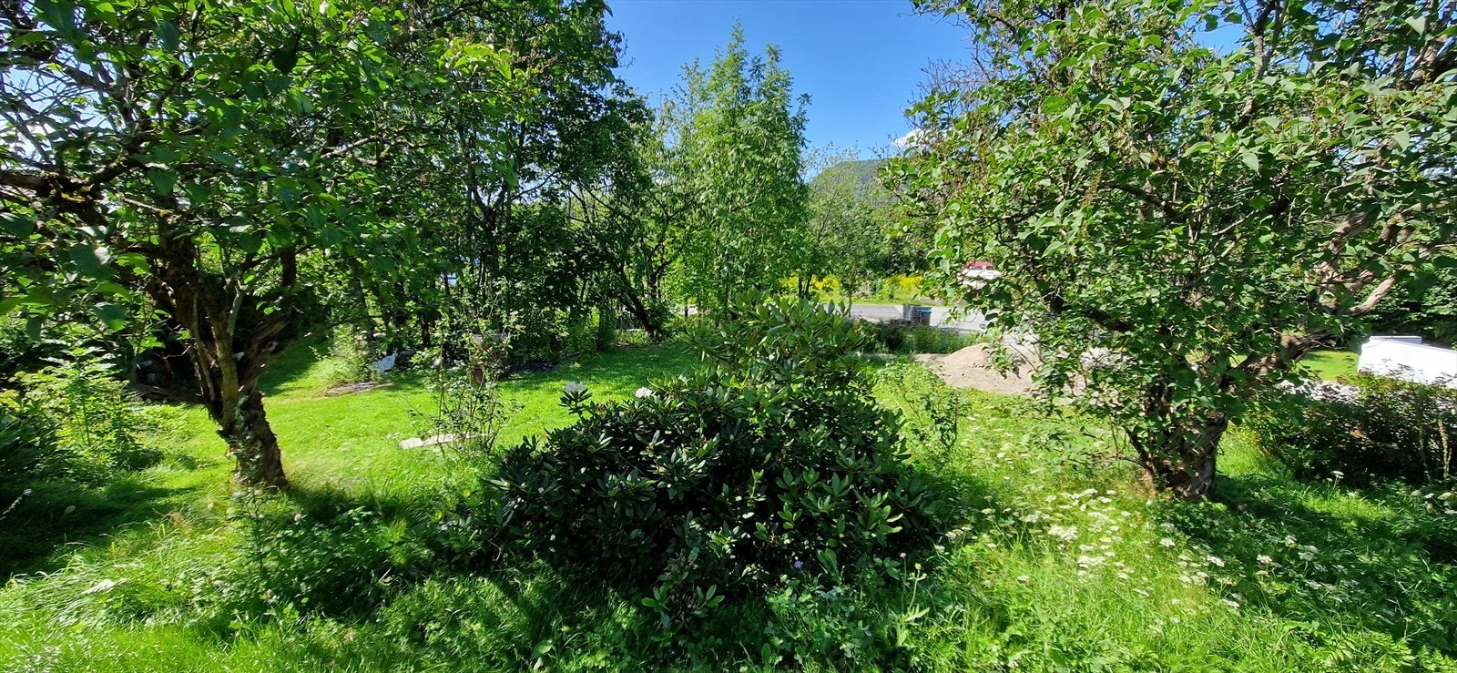 Tomtegrense sett fra nabo i nord. Galleribilde