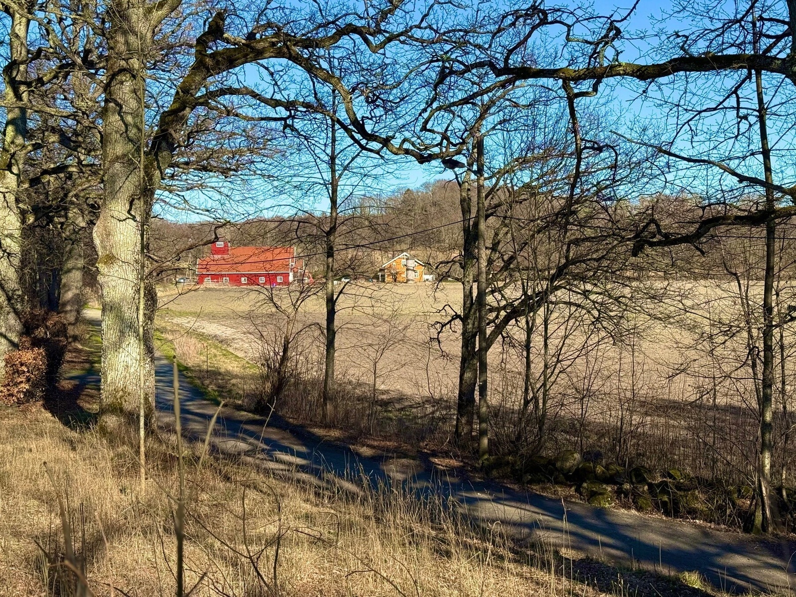 Det vakre kulturlandskapet byr på flotte turmuligheter (Selgers private bilde) Galleribilde