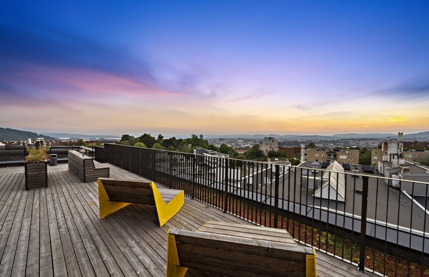 Felles takterrasse med slående utsikt mot byen og fjorden Galleribilde