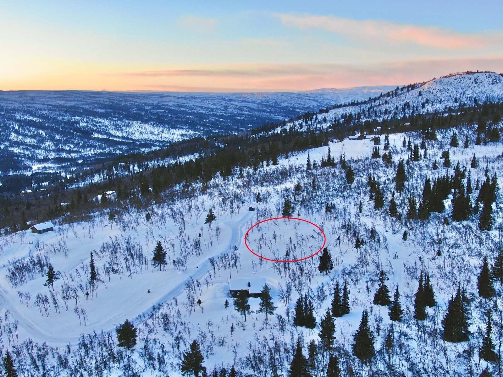 Foto fra tomta Galleribilde