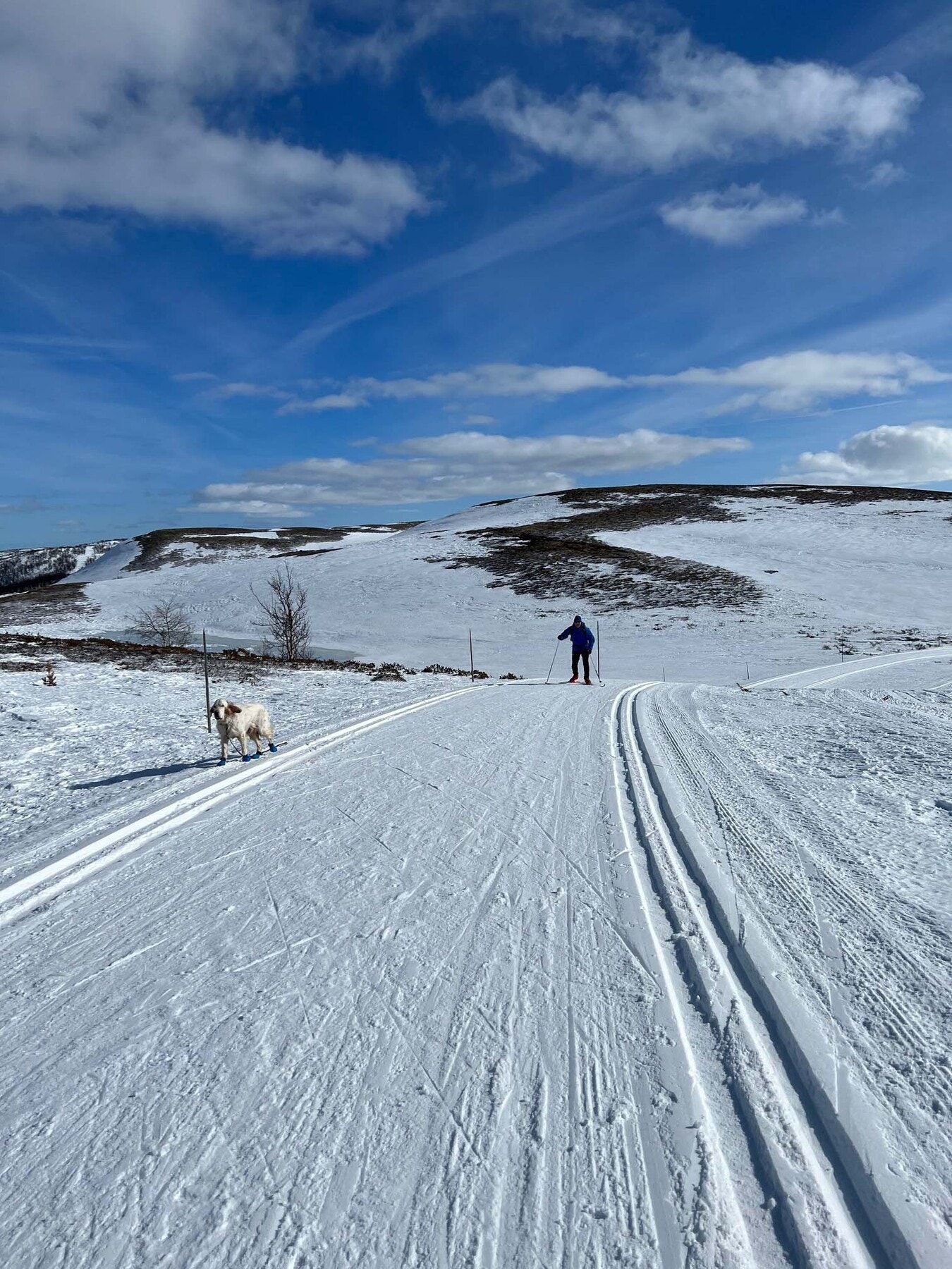 Fint terreng for store og små Galleribilde
