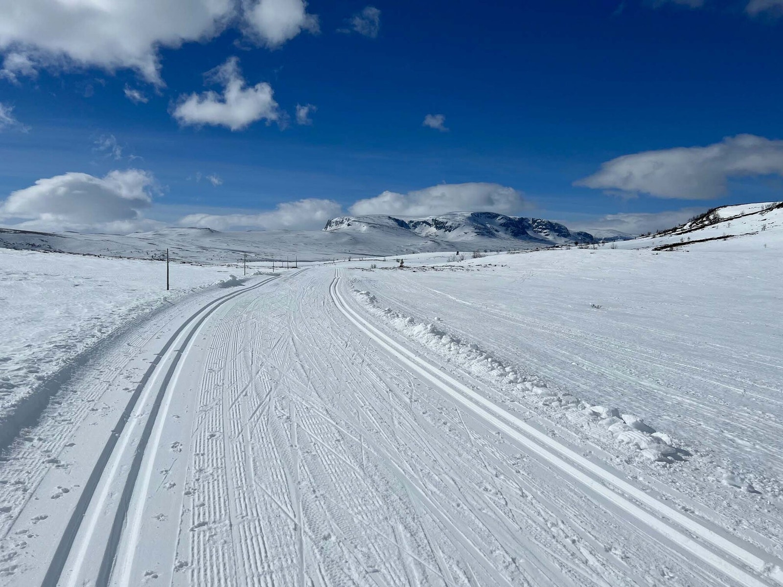Flotte skiløyper med mektige Hallingskarvet i det fjerne Galleribilde