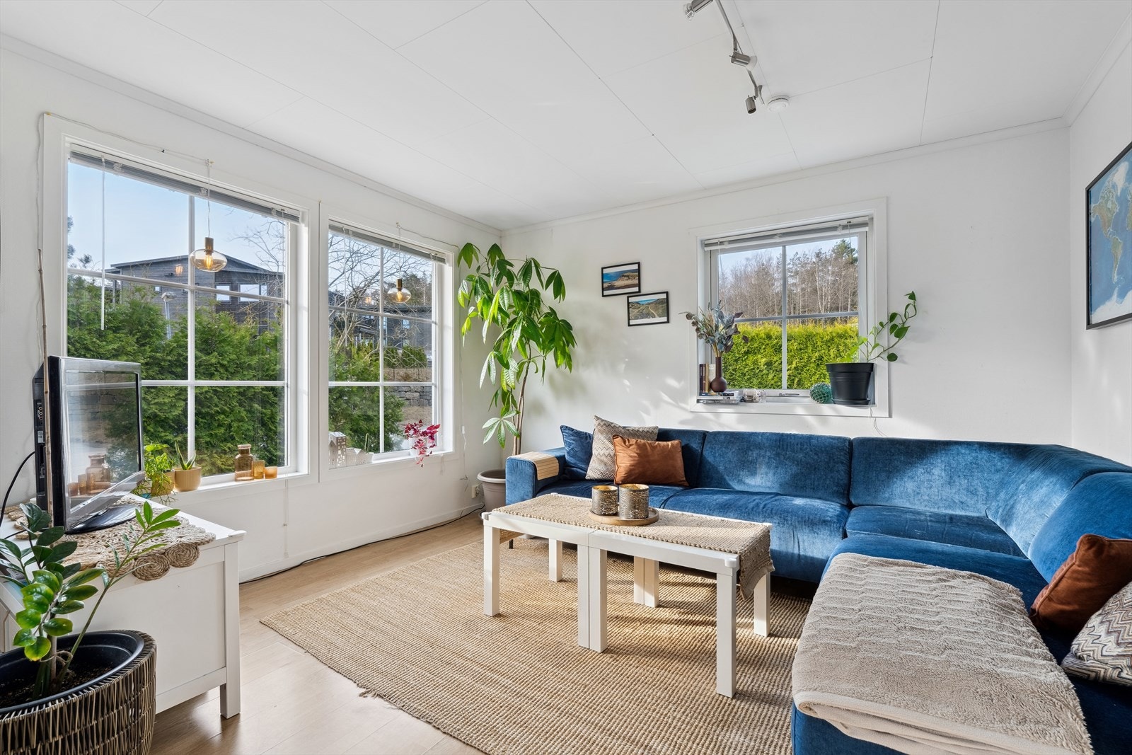 Utleiedel 2 Galleribilde