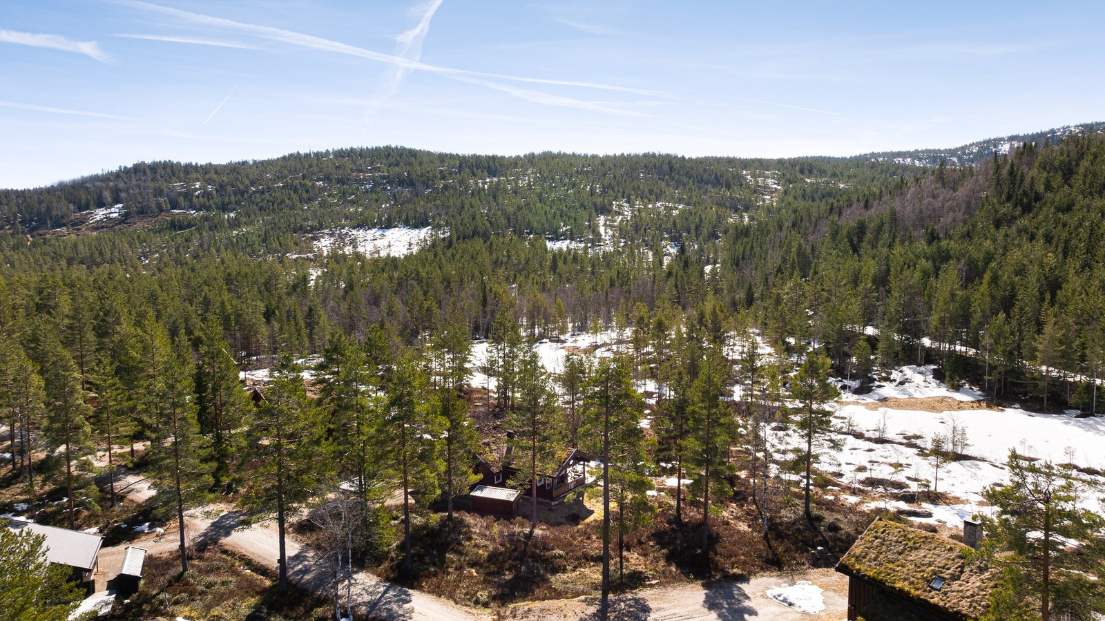 Foto: Tor Helge Thorsen Galleribilde