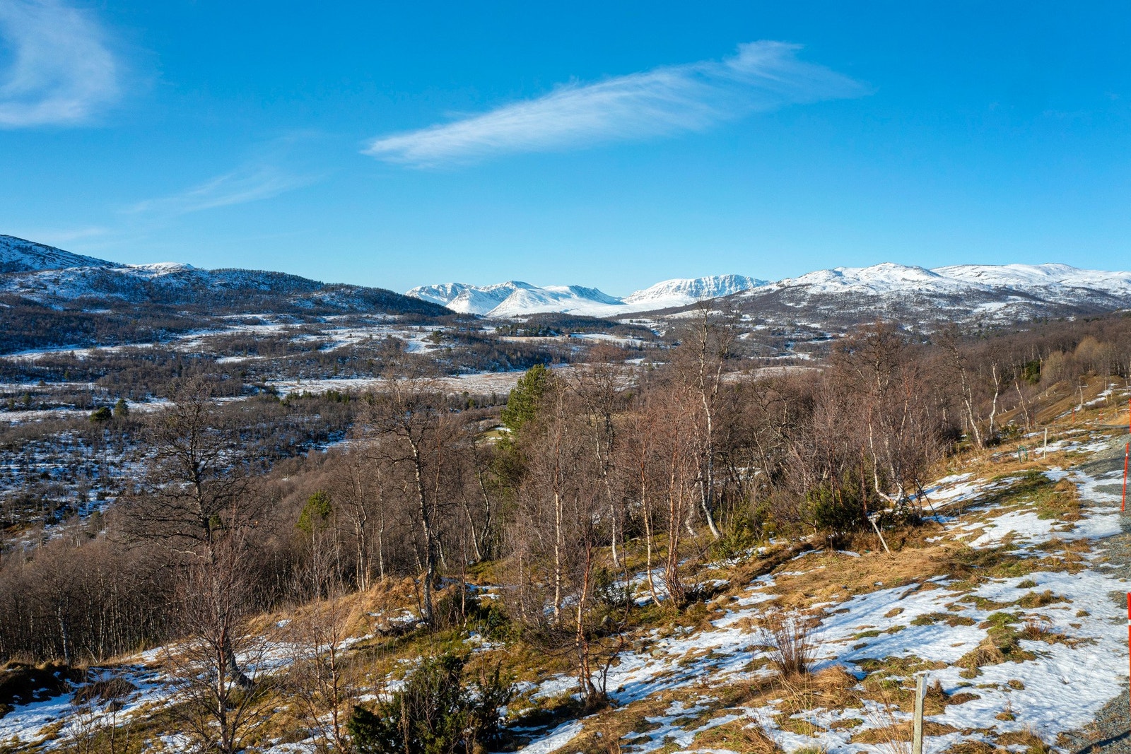 En flott tomt på hele 1051,7 kvm. Galleribilde