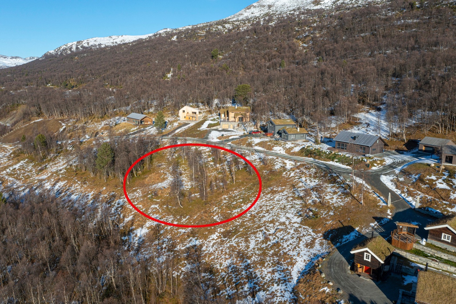 Natur-omringet tomt. Galleribilde