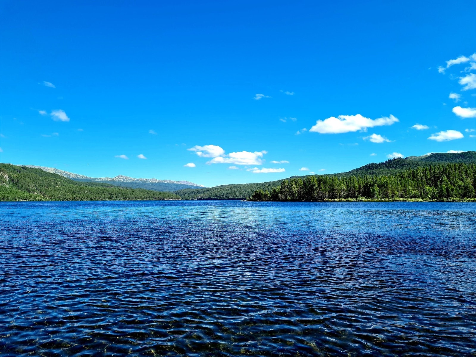 Utsikt Olstappen Galleribilde