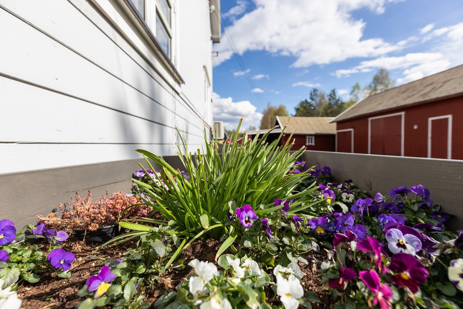 De fine plantekassene er en superenkel måte å komme i gang på! Det går an å dyrke nesten alt i plantekasser - tomater, agurker, krydder, bønner, gulrøtter, bladgrønt og mye mer. Galleribilde