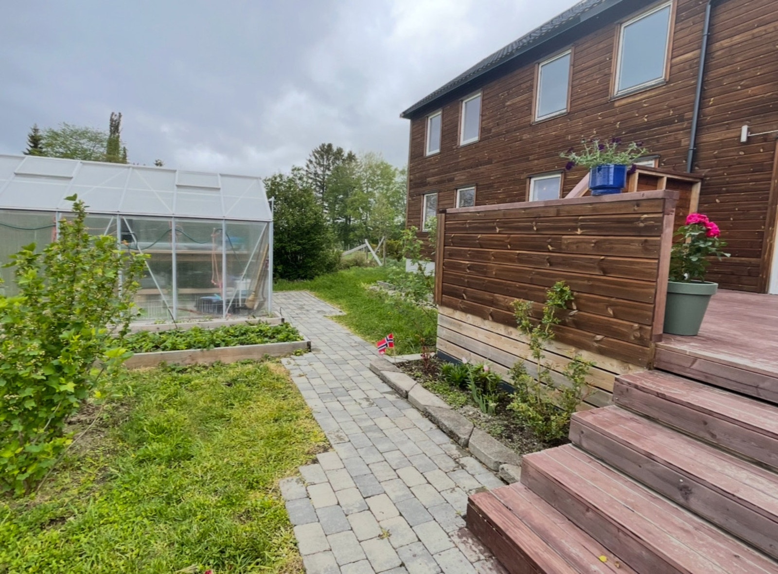 sommerbilde fra hagen. Galleribilde