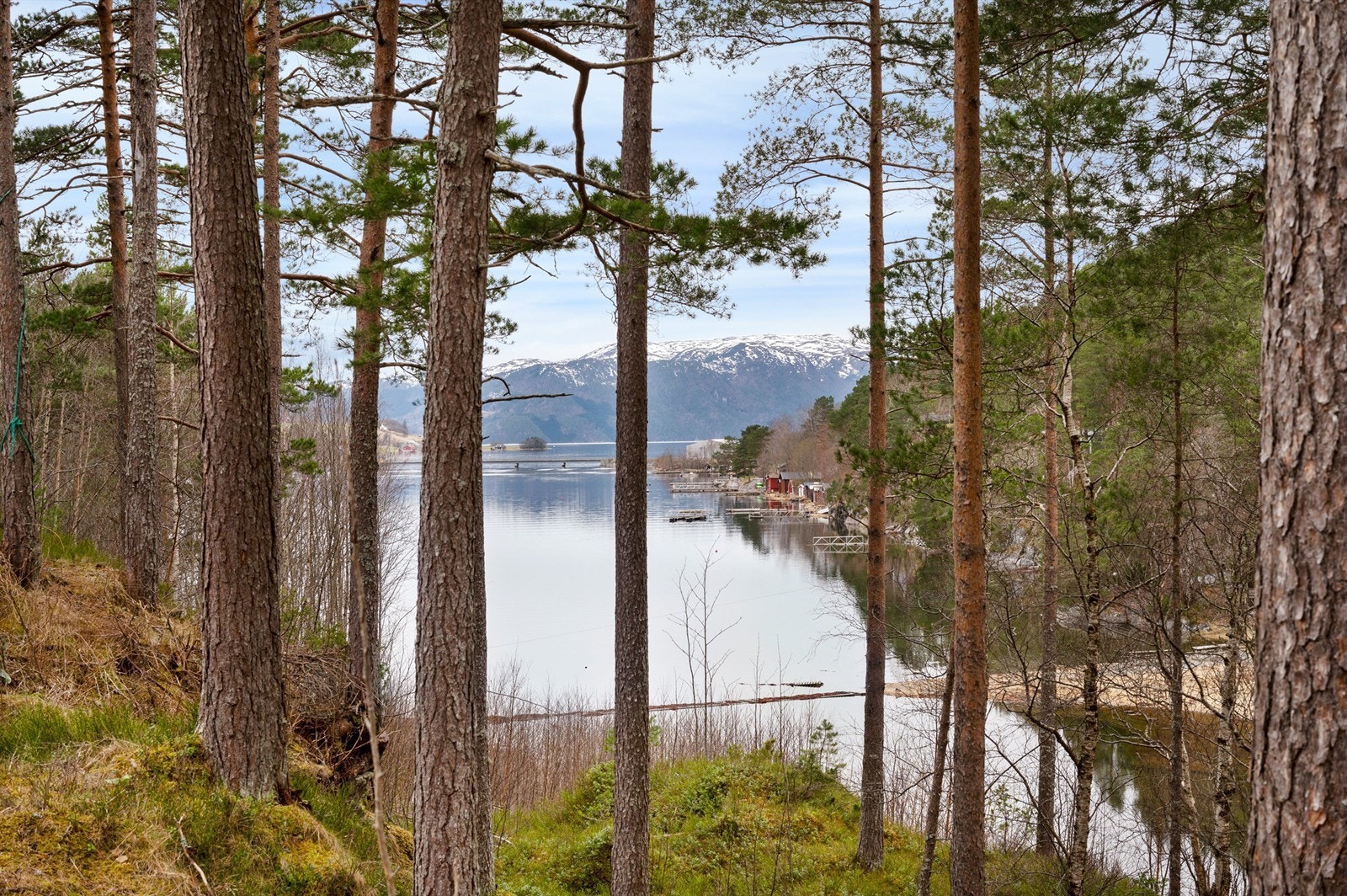 Likevel er tomta både åpen og lys, med fine glimt mot fjorden, fjellene og det vakre fjordlandskapet. Galleribilde
