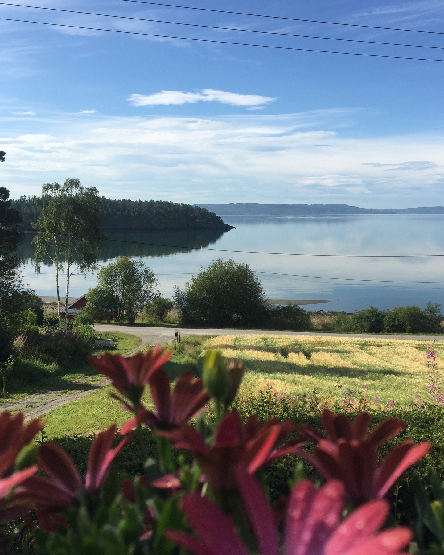 Sommerbilde Galleribilde