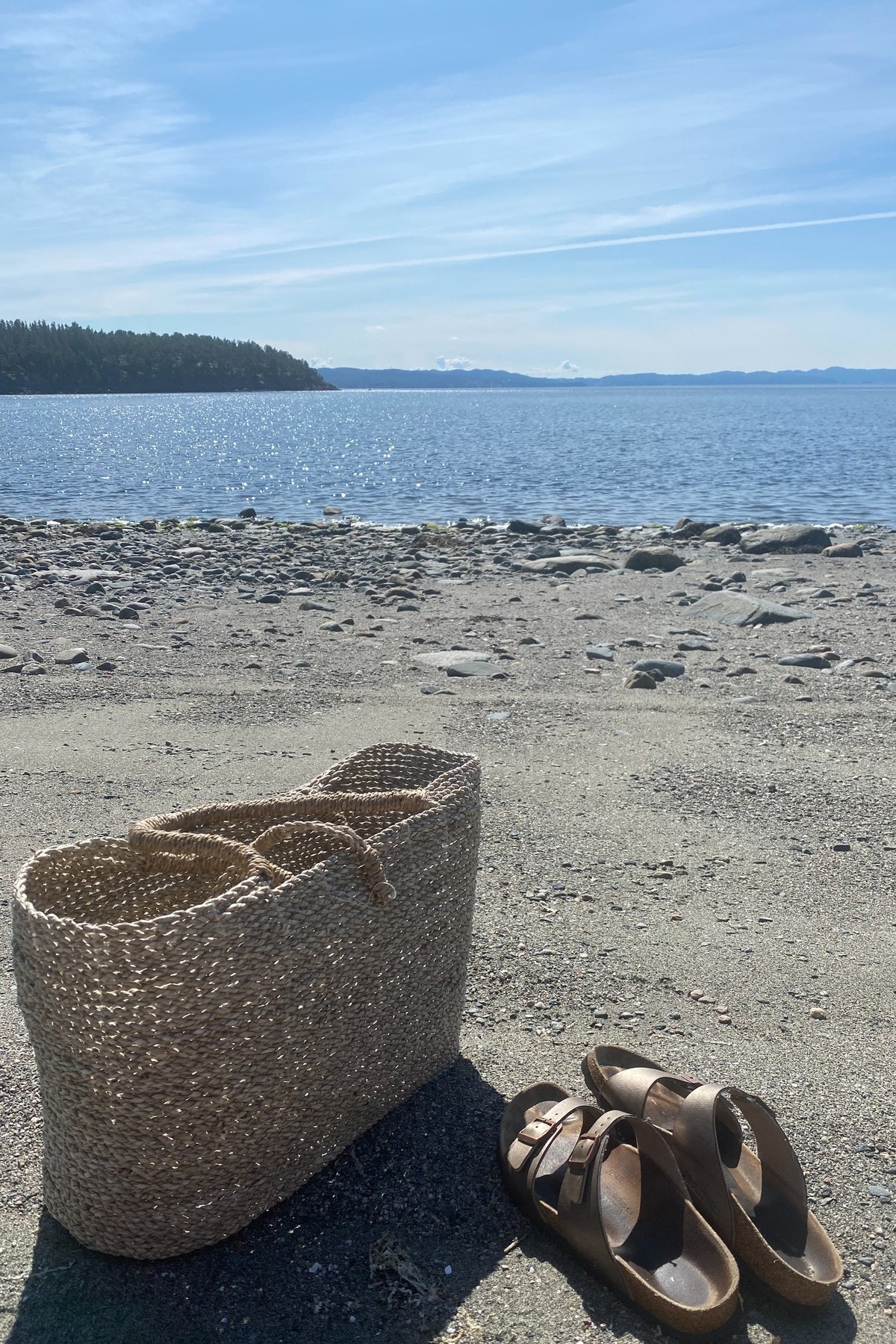 Selgers sommerbilde ved sjøen Galleribilde